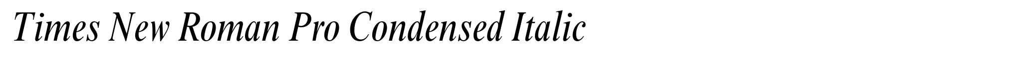 Times New Roman Pro Condensed Italic image